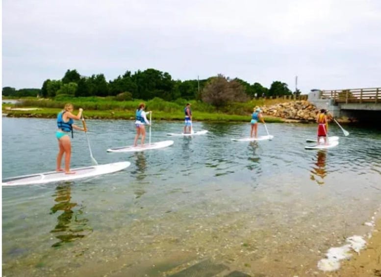 Picture 1 for Activity Oak Bluffs: Stand Up Paddle Board Tour for All Levels 4