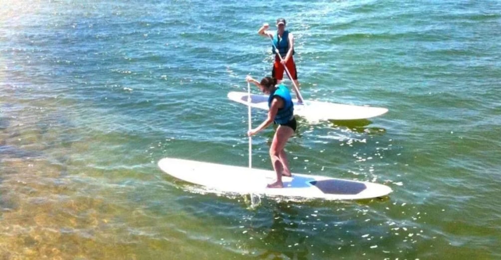 Picture 3 for Activity Oak Bluffs: Stand Up Paddle Board Tour for All Levels 5