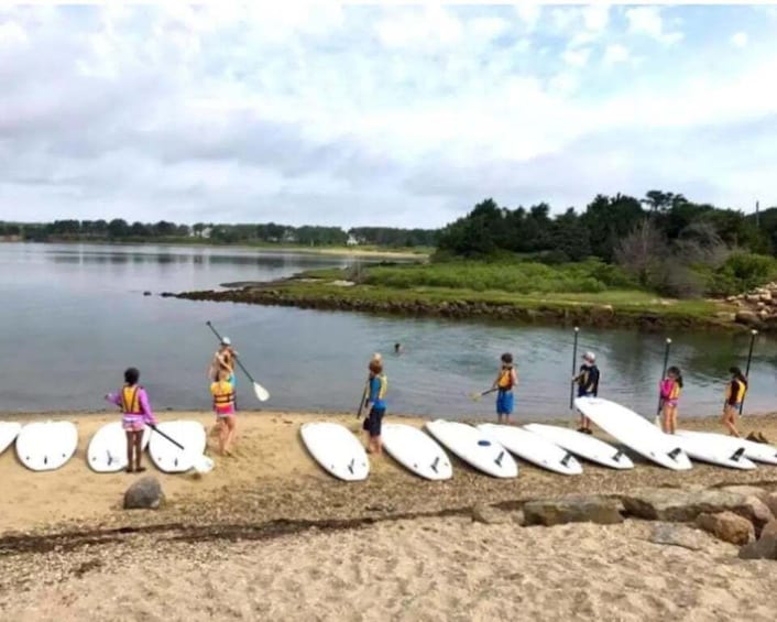 Picture 4 for Activity Oak Bluffs: Stand Up Paddle Board Tour for All Levels 3