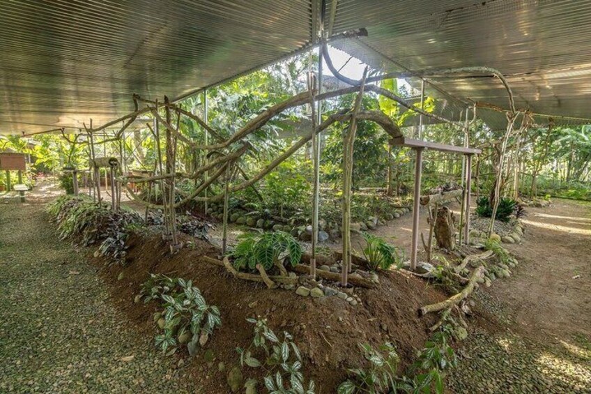 The Ant World A Unique Experience in Costa Rica 5