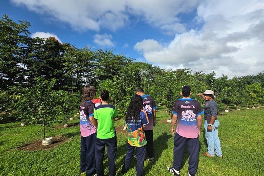 Agritourism Tour in Manatí Puerto Rico with Guide 3