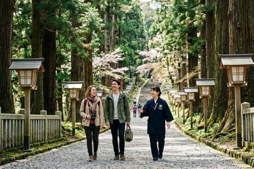 A pathway lined with lanterns and trees, leading towards a distant structure. 1