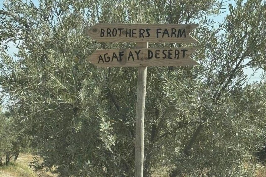 A wooden signpost with directions to 'Brothers Farm' and 'Agafay Desert.' 1