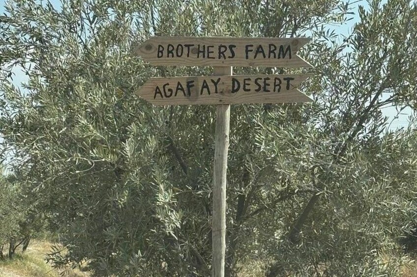 Un panneau indicateur en bois indiquant la direction de la ferme des frères et du désert d’Agafay. 2