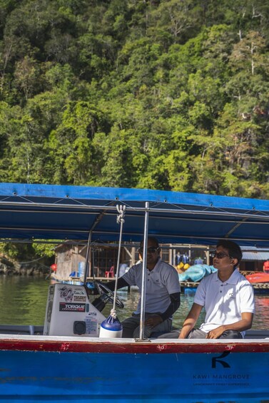 Picture 15 for Activity Langkawi: Kilim Karst Geoforest Park Mangrove Boat Tour 4