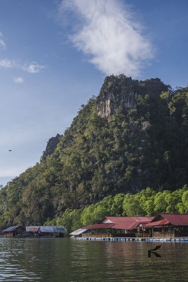 Picture 6 for Activity Langkawi: Kilim Karst Geoforest Park Mangrove Boat Tour 2
