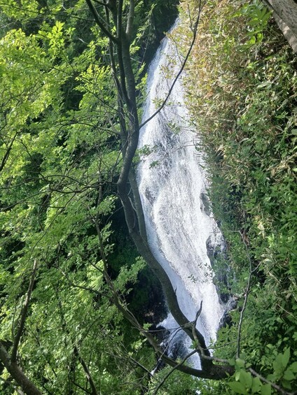 Picture 4 for Activity Nikko: Private Tour of Hidden Nature, Lake, and Scenic Route 4
