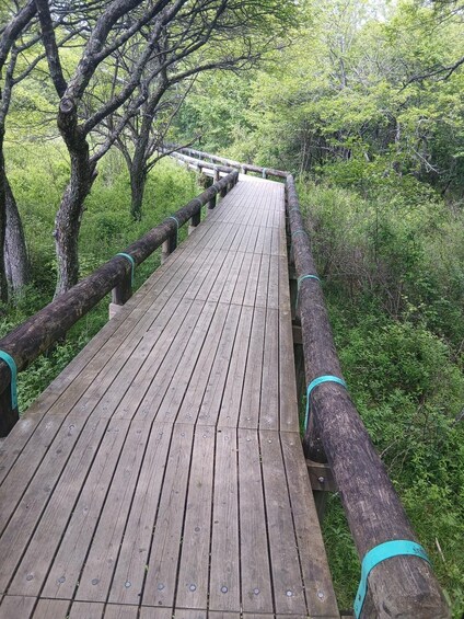 Picture 5 for Activity Nikko: Private Tour of Hidden Nature, Lake, and Scenic Route 3