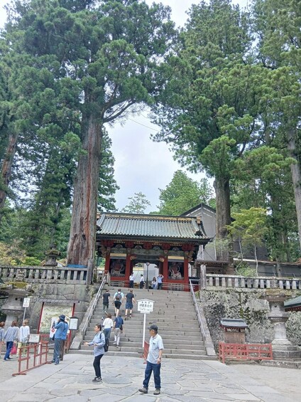 Picture 16 for Activity Nikko: Private Tour of Hidden Nature, Lake, and Scenic Route 3