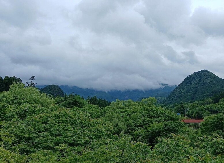 Nikko: Private Tour of Hidden Nature, Lake, and Scenic Route 2