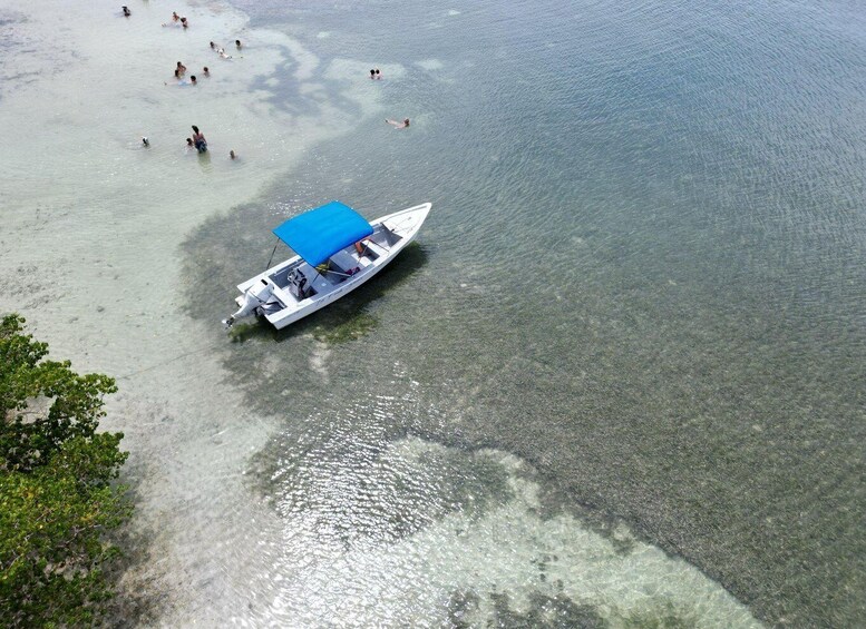 Picture 8 for Activity Small group boat excursions to the islets and the white seabed of Robert François 3