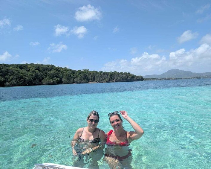 Picture 5 for Activity Small group boat excursions to the islets and the white seabed of Robert François 4