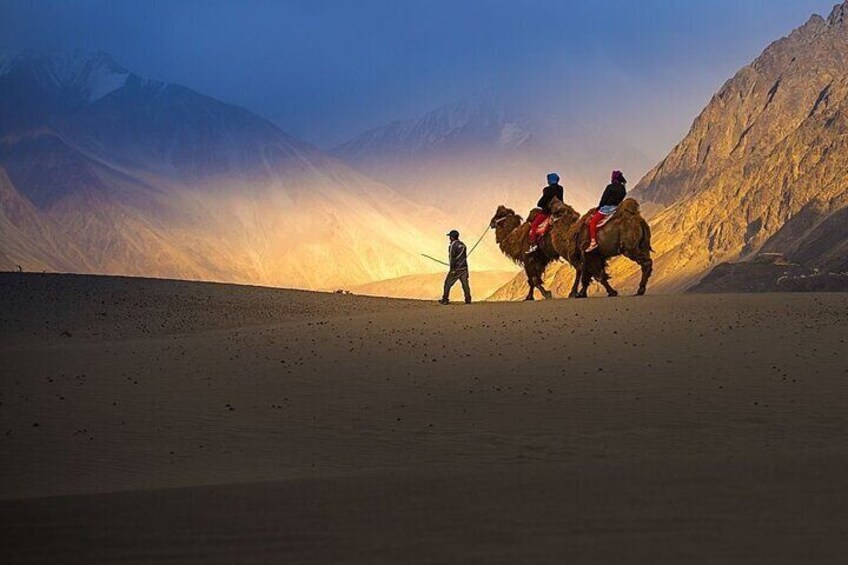 Private Day Trip - Leh to Nubra Valley via Khardung La Pass 4