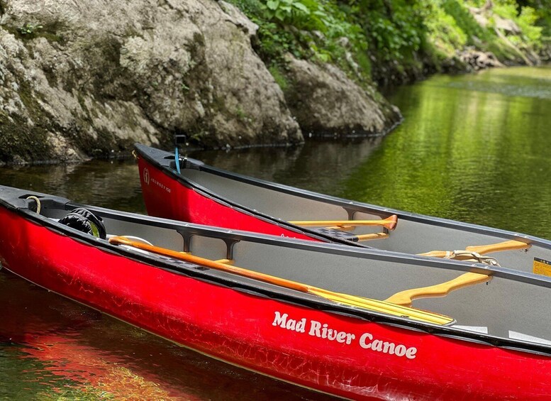 Picture 6 for Activity Yamagata, Japan: Mifuchi Gorge Guided Canoe Tour 2