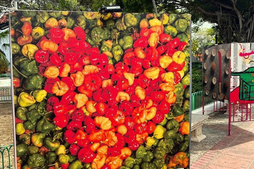 A heart-shaped arrangement of colorful peppers. 3