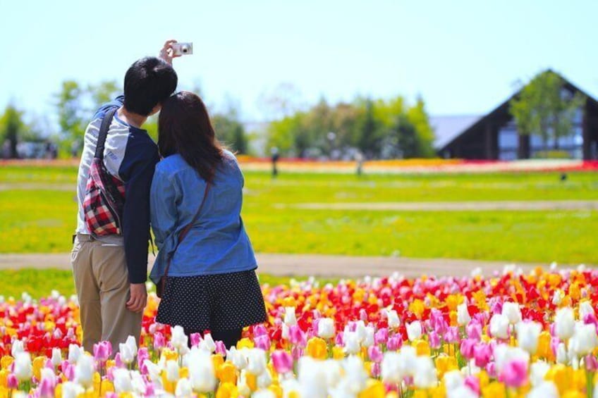 A couple taking a photo in a field of colorful tulips. 4