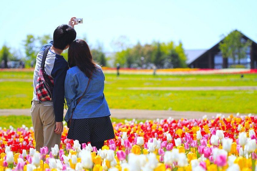 Hokkaido Hoheikyo Dam Jozankei and Shikotsuko Tour from Sapporo 4