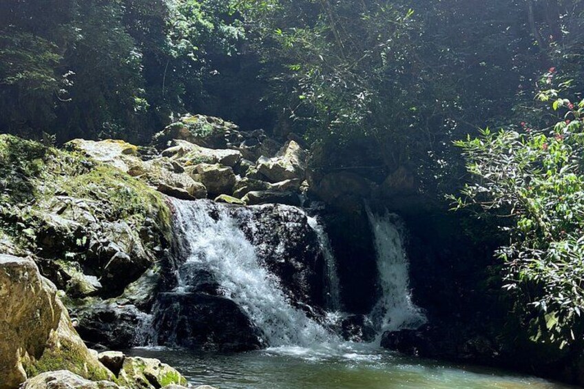 A waterfall cascading over rocks in a forested area. 1
