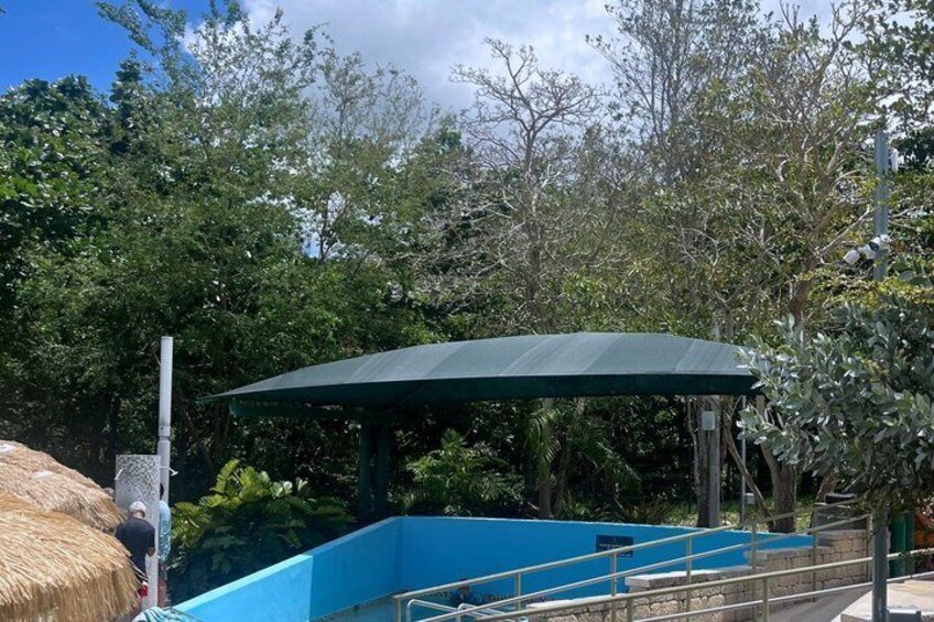 Puerto Rico Wellness Tour: Yoga, Cold Plunge & Hot Springs 4