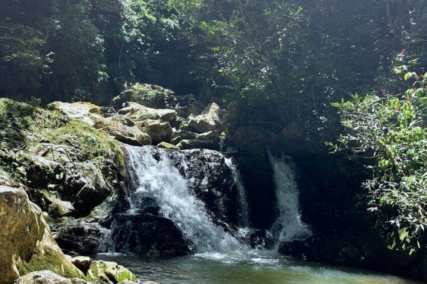 Puerto Rico Wellness Tour: Yoga, Cold Plunge & Hot Springs 1