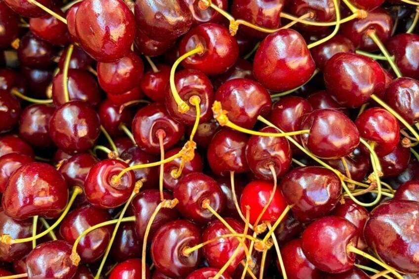 Boucan Food Tour in Provence tastings and local producers 2