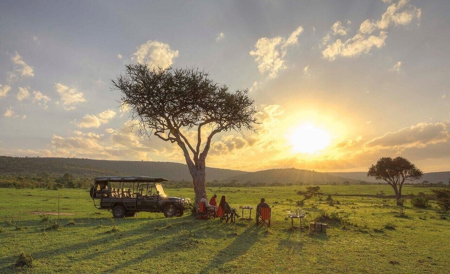 Un véhicule de safari, des personnes dînant et un grand arbre dans un champ herbeux au coucher du soleil. 3