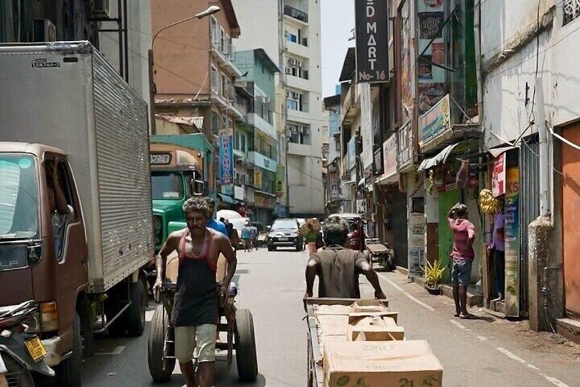 7 Days / 6 Nights Sri Lanka Tour with Hotels & Entrance Fees 2
