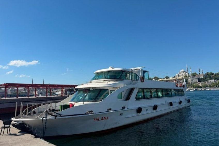 Istanbul Bosphorus Swimming Tour with Lunch and Boat Cruise 4