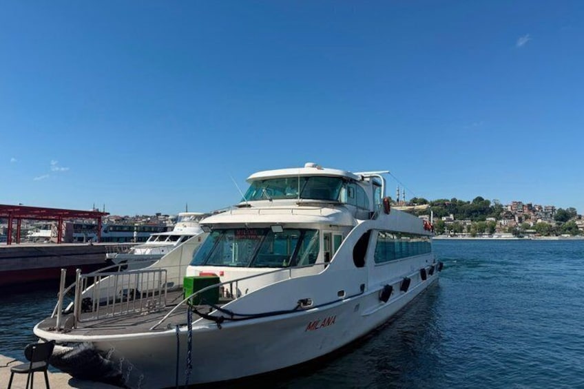 Istanbul Bosphorus Swimming Tour with Lunch and Boat Cruise 2