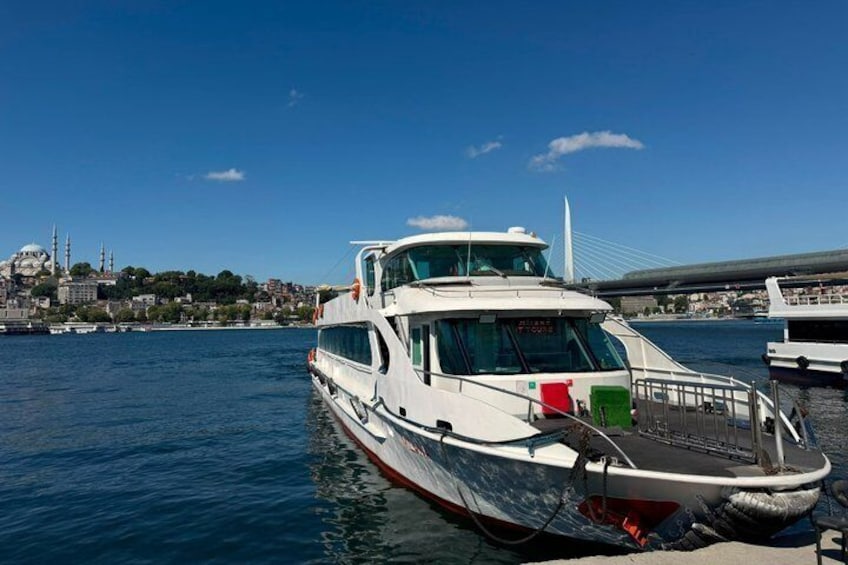 Istanbul Bosphorus Swimming Tour with Lunch and Boat Cruise 3
