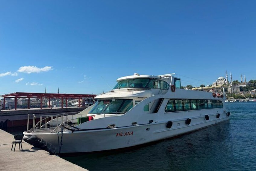 Istanbul Bosphorus Swimming Tour with Lunch and Boat Cruise 1