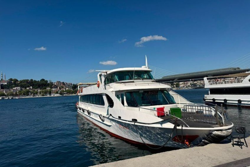 Istanbul Bosphorus Swimming Tour with Lunch and Boat Cruise 5