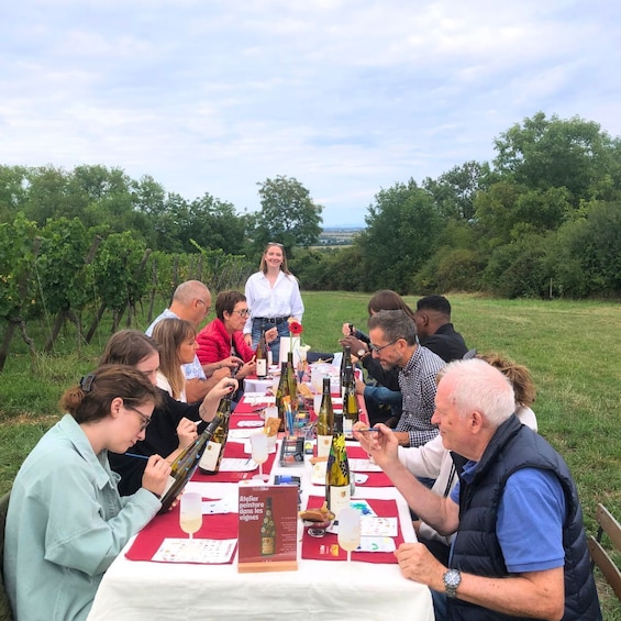 Obernai: Bottle-painting workshop in the vineyards 1