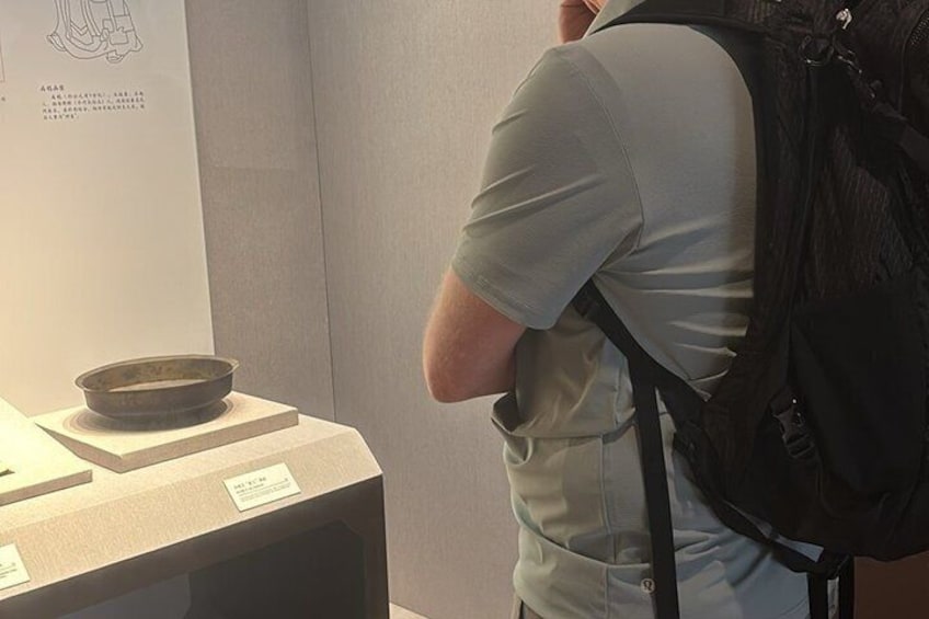 Shanghai TCM University Tour: Museum, Herbs & Treatment 2
