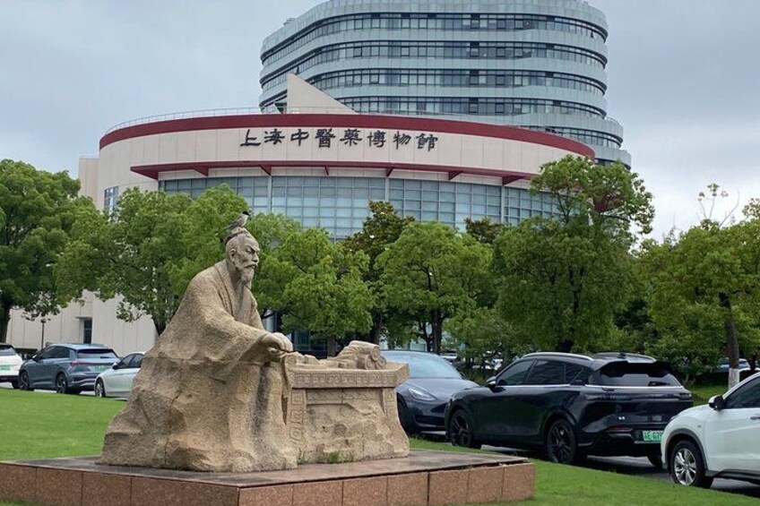 Shanghai Private TCM Experience: Museum, Herbs & Treatment 3