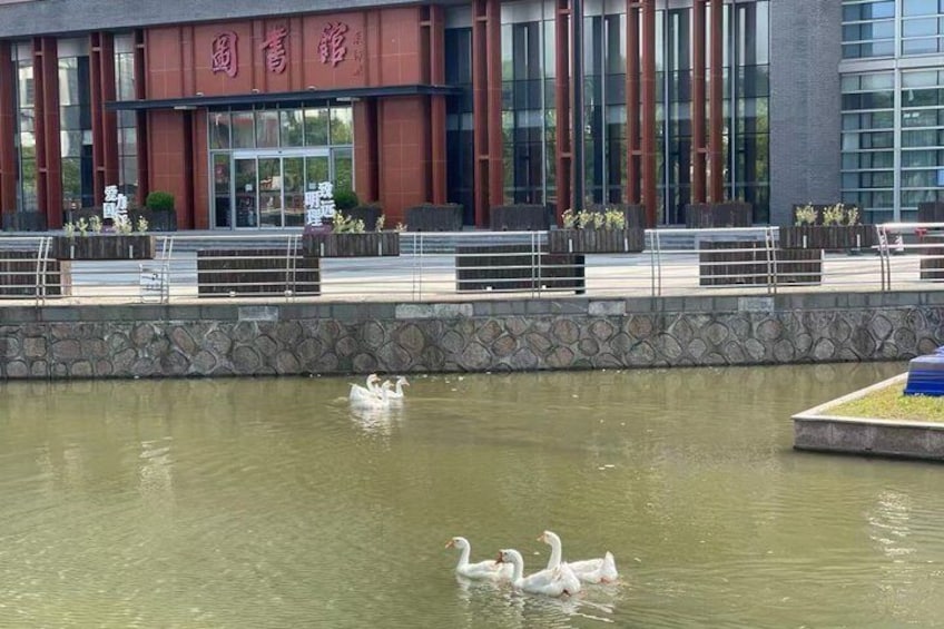 Traditional Chinese Medicine Day at Shanghai's Top University 5