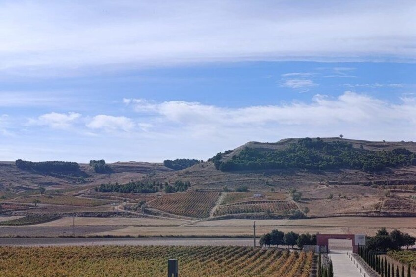 A hilly landscape with vineyards and a clear sky. 4