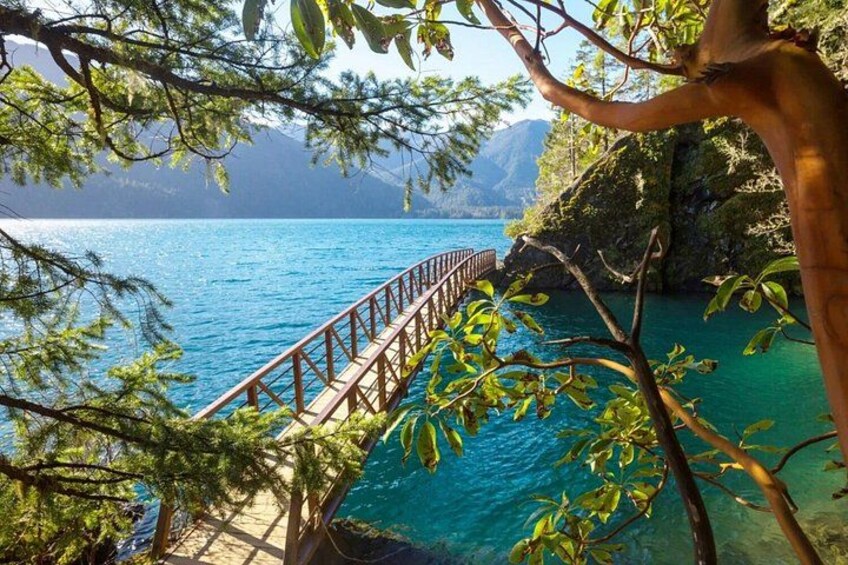 A wooden bridge over turquoise water, surrounded by trees and mountains. 2