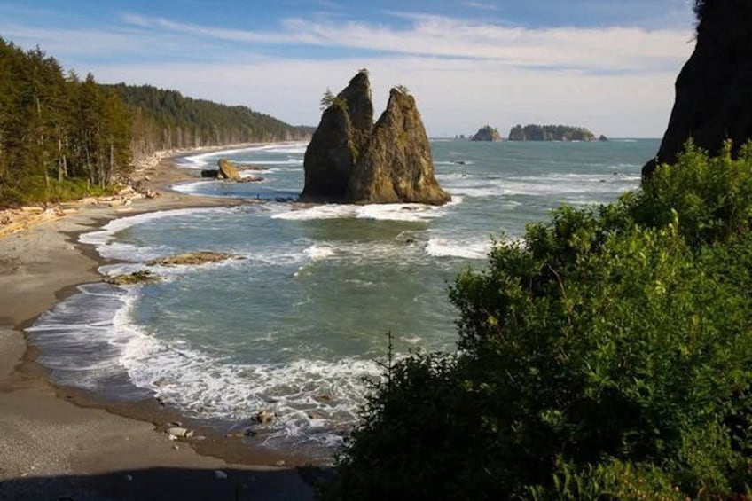 A coastal landscape with a prominent rock formation, a sandy beach, and dense forest. 5