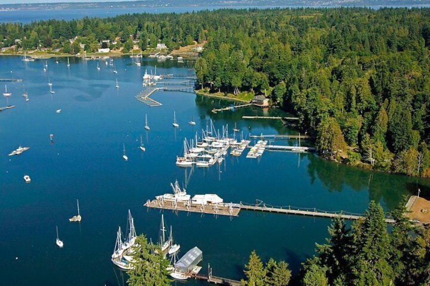 A marina with boats docked, surrounded by dense forest. 4