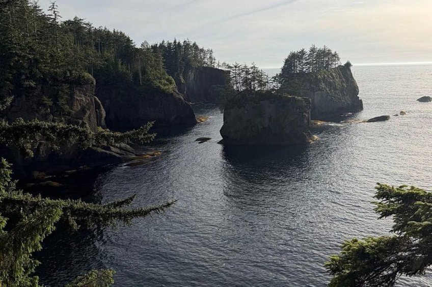 A coastal landscape with rocky cliffs and dense forest. 3