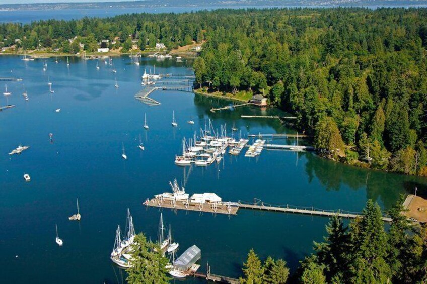 A marina surrounded by dense forest, with multiple boats docked and anchored. 4