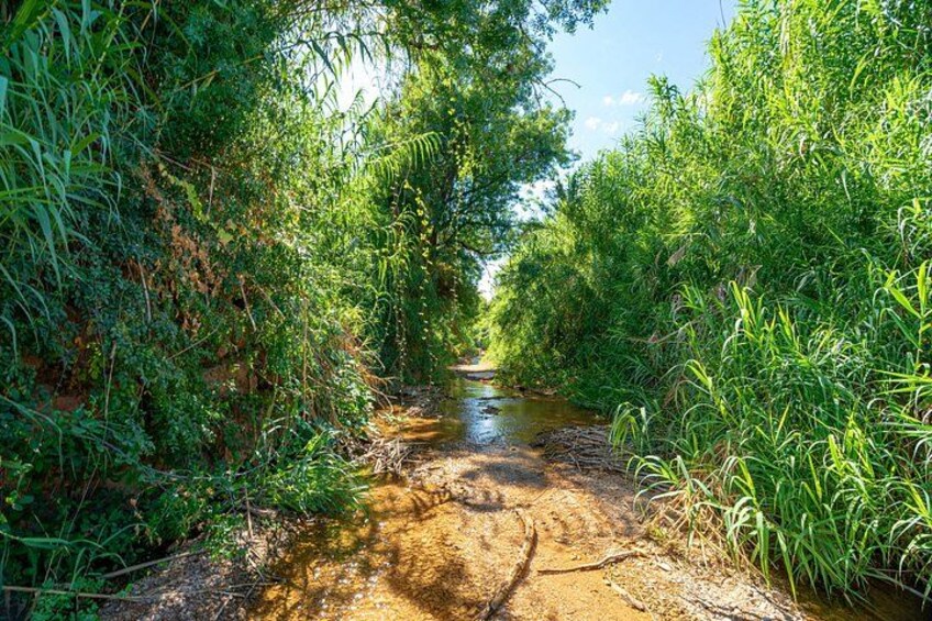Authentic Algarve: Jeep Safari 4×4 in Tavira, Mountain and Cascades 3