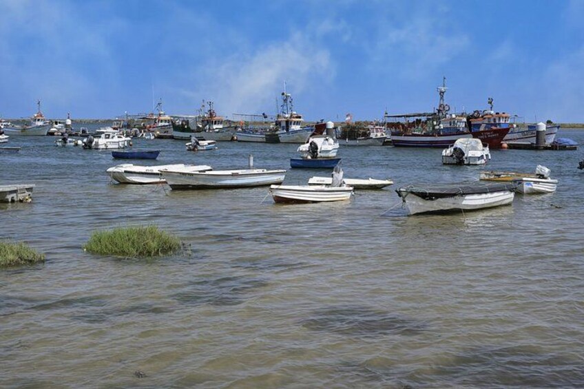 Authentic Algarve: Jeep Safari 4×4 in Tavira, Mountain and Cascades 4