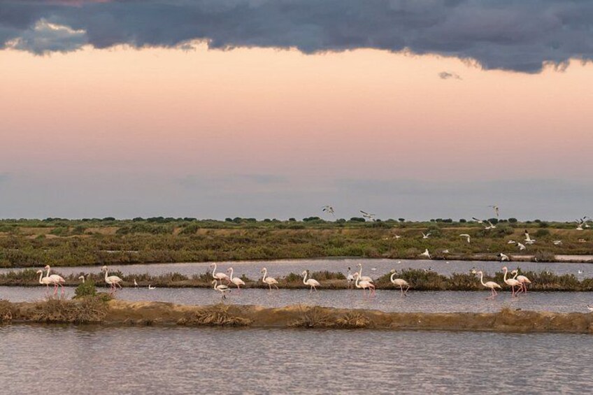 Authentic Algarve: Jeep Safari 4×4 in Tavira, Mountain and Cascades 2