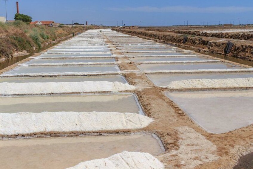 A salt flat with rectangular pools of brine. 3