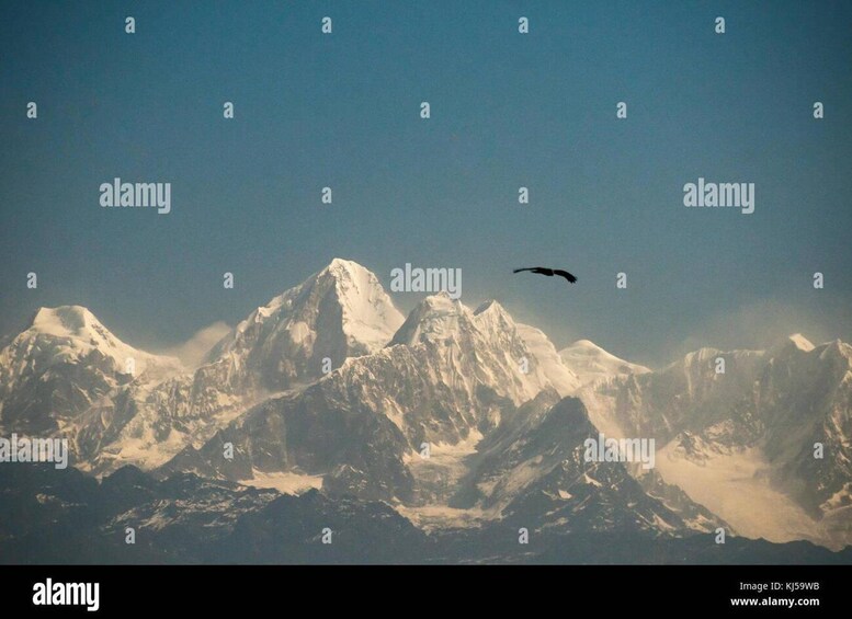 Picture 2 for Activity Nepal: Himalayan Stargazing Experience with Guide 3