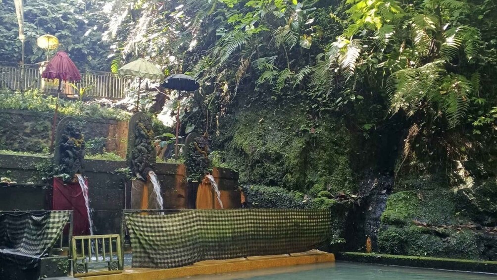 A serene garden with a small pond, lush greenery, and a stone structure with water spouts. 4