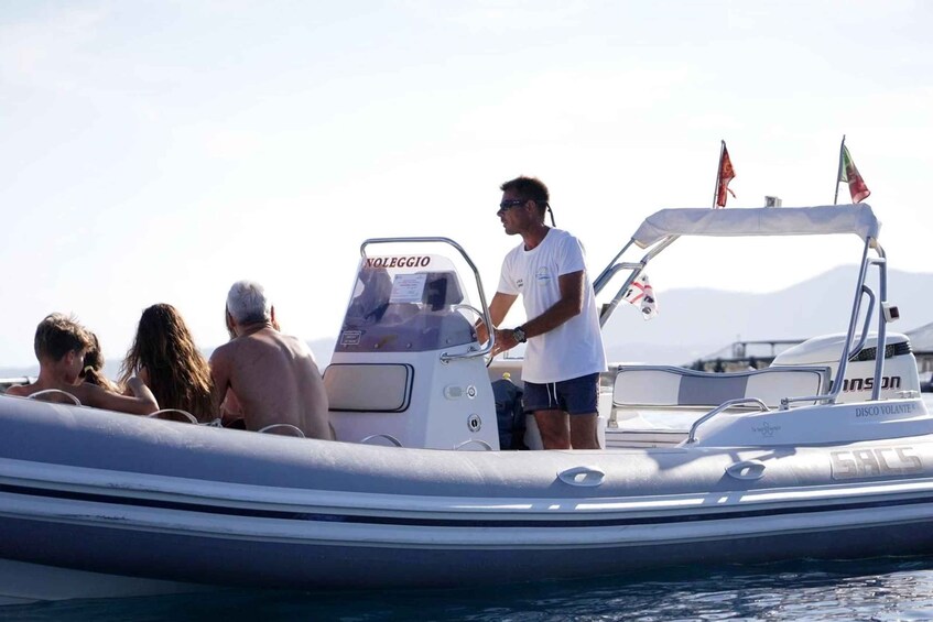 Picture 6 for Activity Golfo Aranci: Sunset Dolphin-Watching Dinghy Tour 3