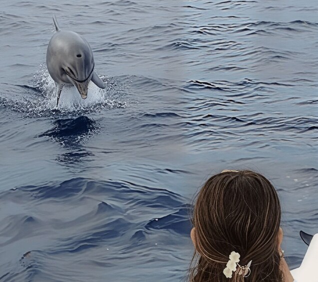 Picture 3 for Activity Golfo Aranci: Sunset Dolphin-Watching Dinghy Tour 4